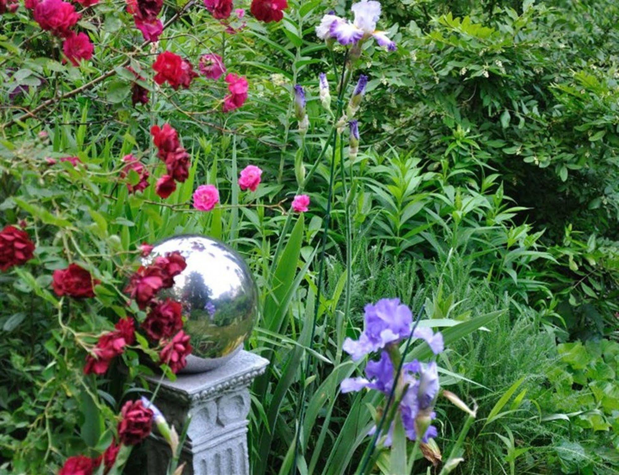 Wild Wisteria Bed & Breakfast Chadds Ford Dış mekan fotoğraf