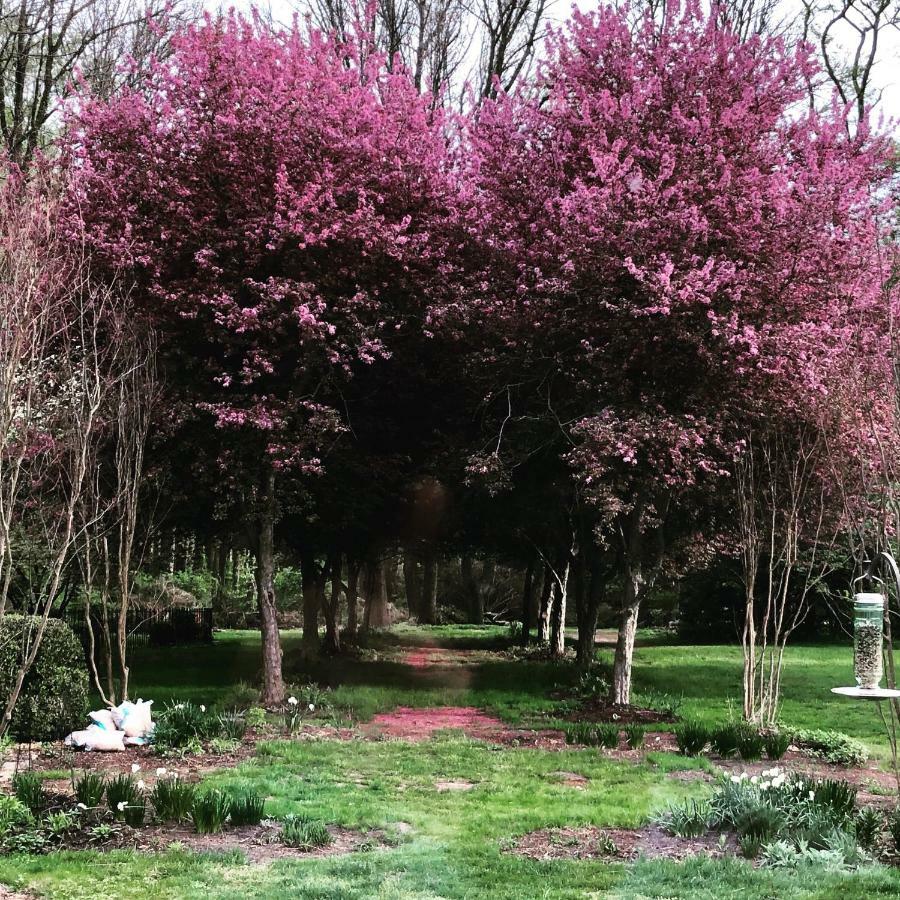 Wild Wisteria Bed & Breakfast Chadds Ford Dış mekan fotoğraf